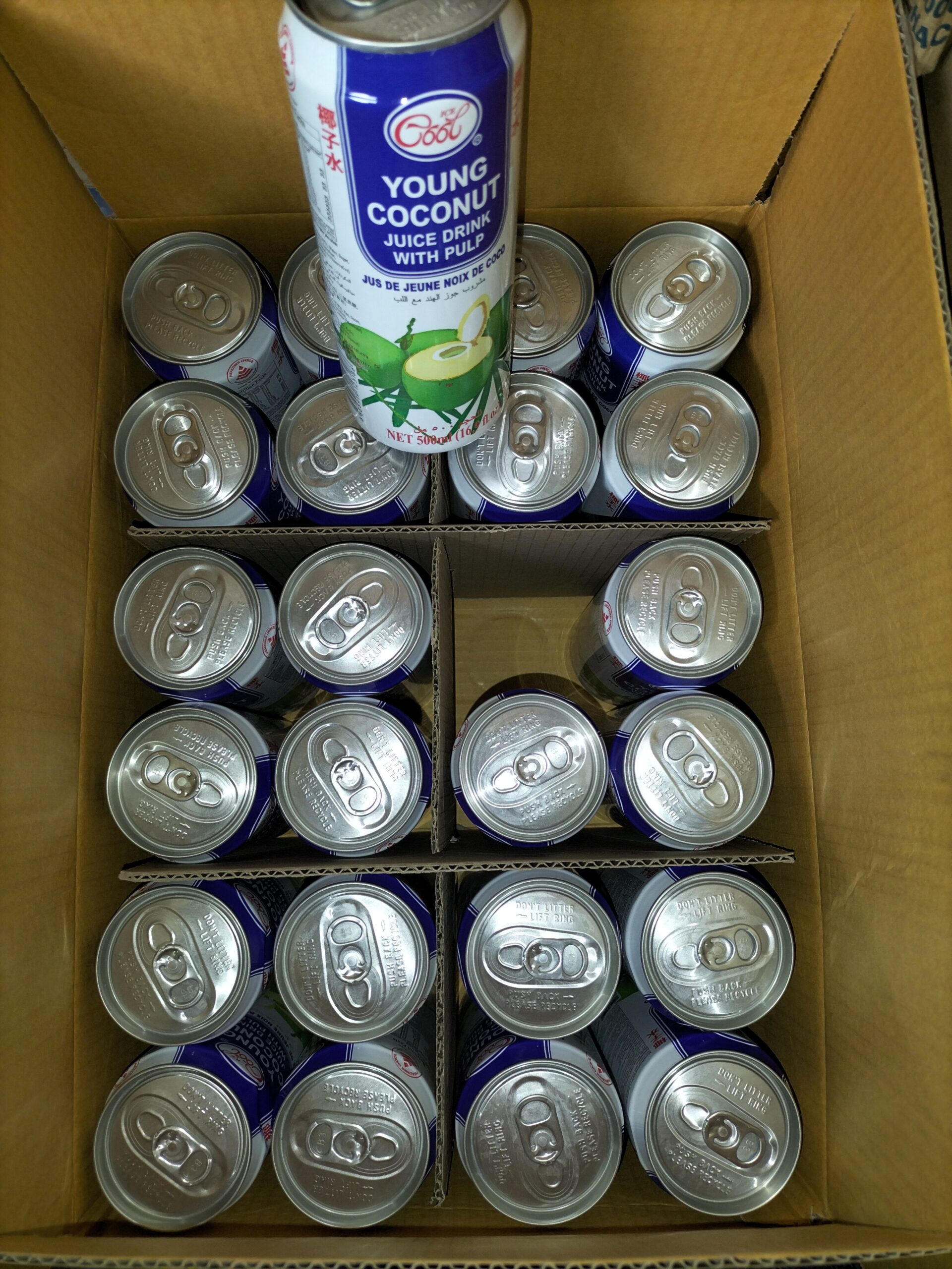 [ 500ml x 24 Cans ] IceCool Young Coconut with Pulp